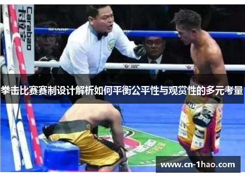 拳击比赛赛制设计解析如何平衡公平性与观赏性的多元考量