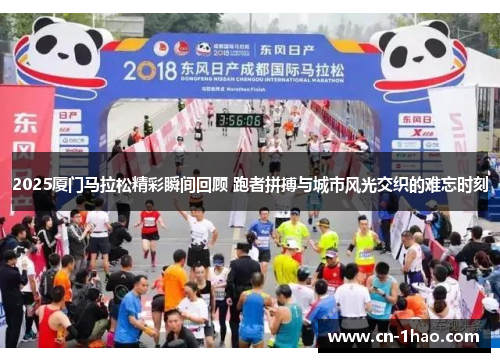2025厦门马拉松精彩瞬间回顾 跑者拼搏与城市风光交织的难忘时刻
