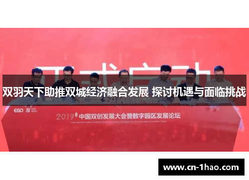 双羽天下助推双城经济融合发展 探讨机遇与面临挑战